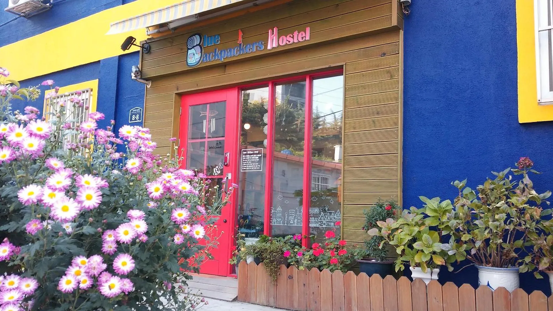 釜山 蔚蓝背包青年旅馆旅舍 旅馆